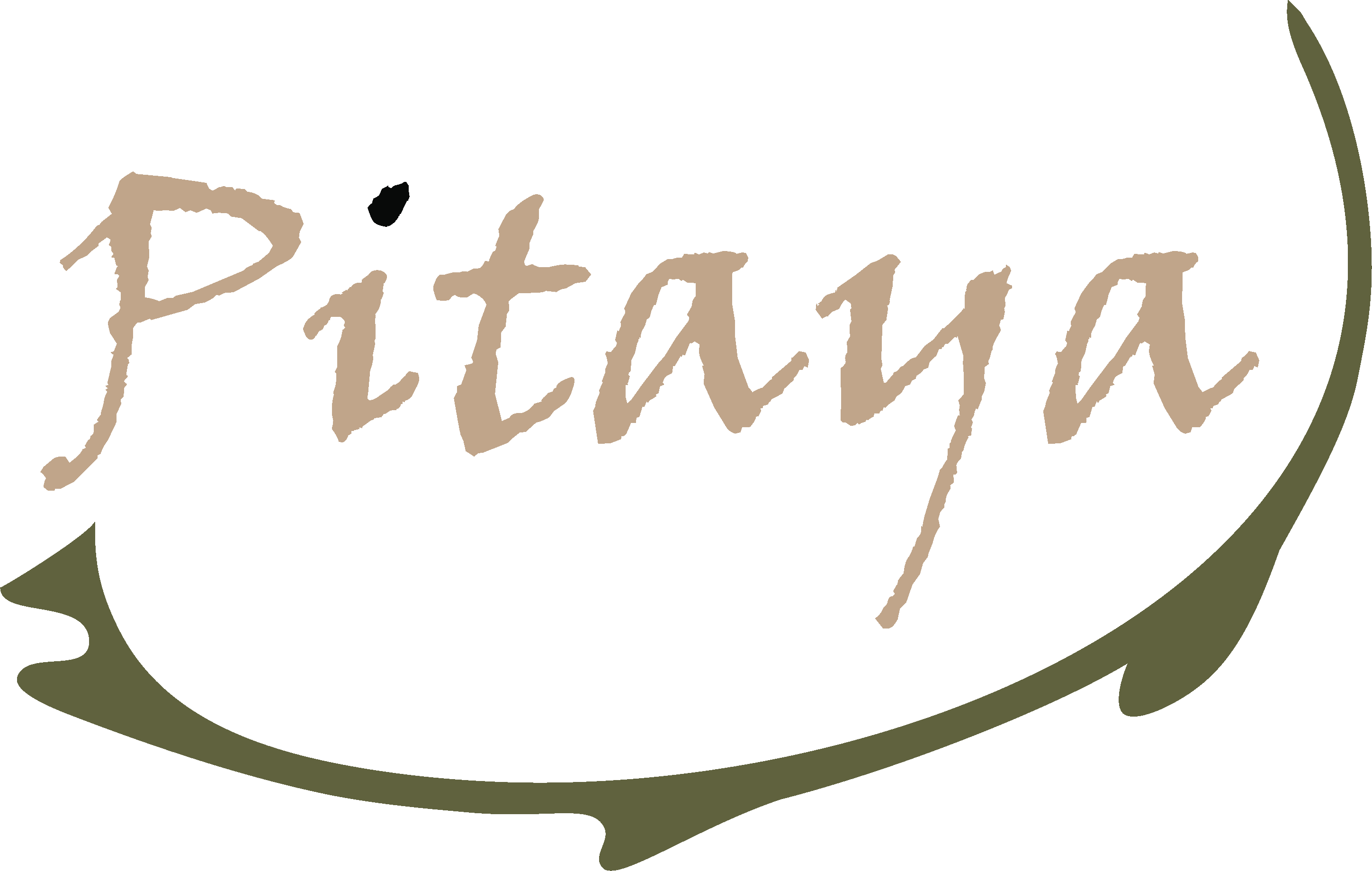 Pitaya logo 900 x 900