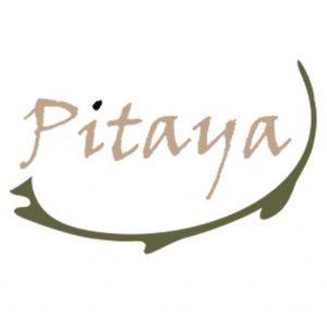 Logo Entreprise Pitaya